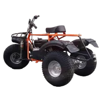 Трицикл ИжтехМаш ТРИТОН САФАРИ-3LE-10 лс KP270