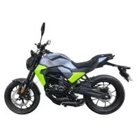 Мотоцикл SPRMOTORS STREET LITE 125cc серый/зелёный