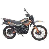 Мотоцикл Racer RC300-C2 Panther 21