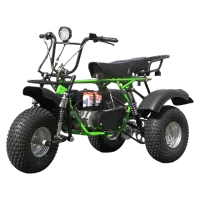 Трицикл ТРИТОН 2, САФАРИ 3LЕ- 9 лс KP230PRO (длинное седло)