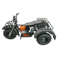Трицикл СПРИНТ ТРАЙК 10R-LE-8W", на редукторе, колеса 8” Боцман (22х11-8’’), 10лс