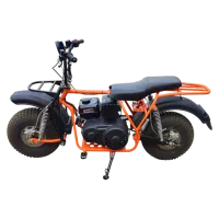 Мотоцикл СПРИНТ 8-CVT-LE-8" на вариаторе, колеса 8" (20х7-8''), двигатель LIFAN KP230ER, 8 лс