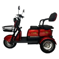 Трицикл GreenCamel Фродо X7 PRO V2 (60V20Ah 800W R10) дифференциал