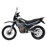 Мотоцикл Regulmoto Grizzly PR300PRO с ПТС