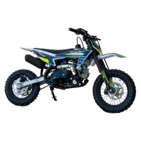 Питбайк AVM ZUUMAV A1 110