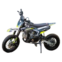 Питбайк AVM ZUUMAV A1 110