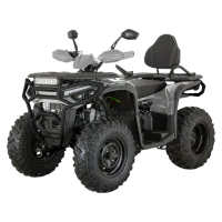 Квадроцикл YACOTA DRUID 250 (мотокомплект)