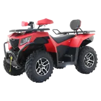 Квадроцикл YACOTA X-RIDER 300 (мотокомплект)