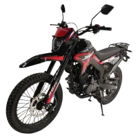 Мотоцикл JHL ofr RMX300 PR300 (ZS175FMN) ЭПТС