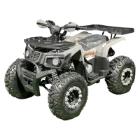 Квадроцикл Racer RC 200 NEW (мотокомплект)