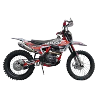 Мотоцикл Hasky F9 PRO RIDE YB300H MSD (F9 PR)
