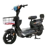lima-moped-jelektricheskij-max-800w