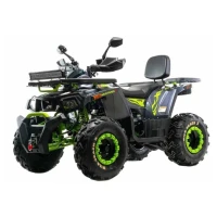 motoland-kvadrocikl-200-wild-track-x-winch