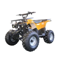Квадроцикл GreenCamel Атакама T240 (48V 1000W R8 Дифференциал)