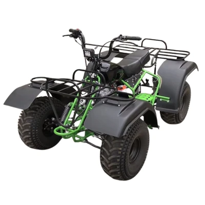 Квадроцикл ИЖ (ATV) МЕХАНИК-2 250 (мотокомплект)