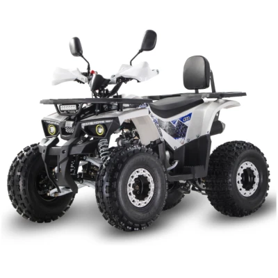Квадроцикл QMC Mars 125cc RG8 (мотокомплект)