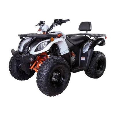 Квадрицикл KAYO AU200 (2024) ПСМ