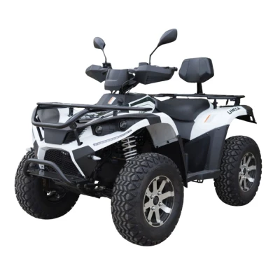 Квадроцикл Linhai LH40DA (3900W 50 км/ч)