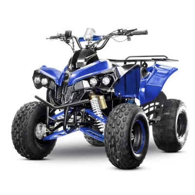 Квадроцикл электрический QMC ECO Warrior 60V 1500W