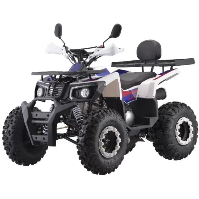 Квадроцикл AVM Thunder 200