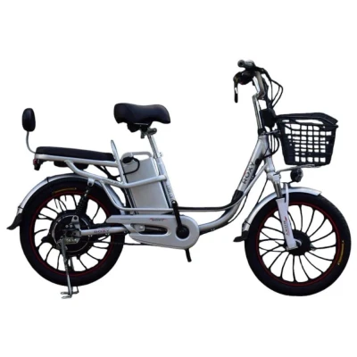 Электровелосипед ROXY D203 20 АЛЮМИНИЙ