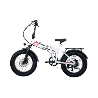 Электровелосипед складной Lucky Duck EZB206