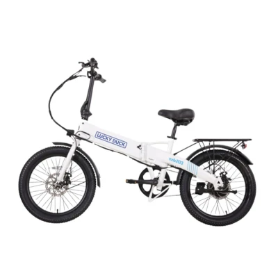 Электровелосипед складной Lucky Duck EZB203