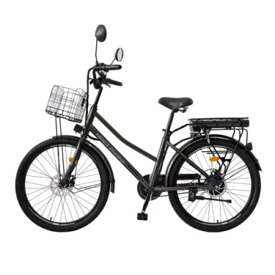 Электровелосипед HIPER ENGINE FEST F6