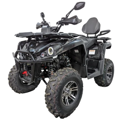 Квадроцикл Regulmoto ATV220 Lux Long