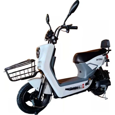 Электровелосипед Shtenli Model GT29 Li-ion 60V20Ah