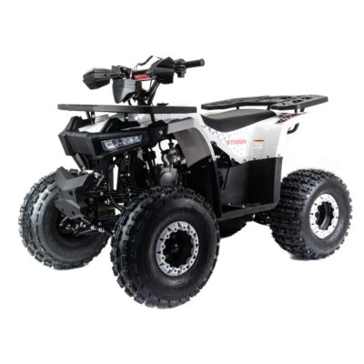 Квадроцикл Motoland Storm 125cc (мотокомплект)