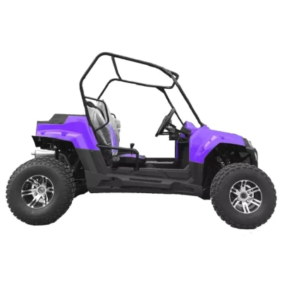 Багги HOOLEOX 300