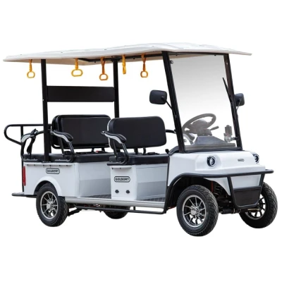 Гольф-кар мини Gelbert Fact 60V 1200Вт