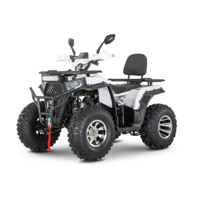 Квадроцикл YACOTA VIKING 200 PRO (мотокомплект)