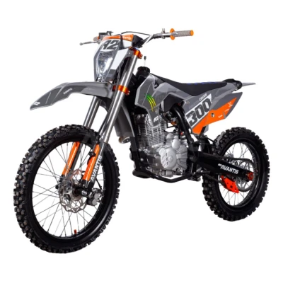 Мотоцикл эндуро Avantis A2 HSQ CB300