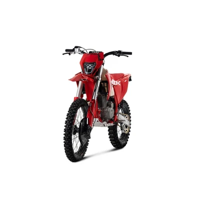 Мотоцикл TMBK SPRINTER 300H