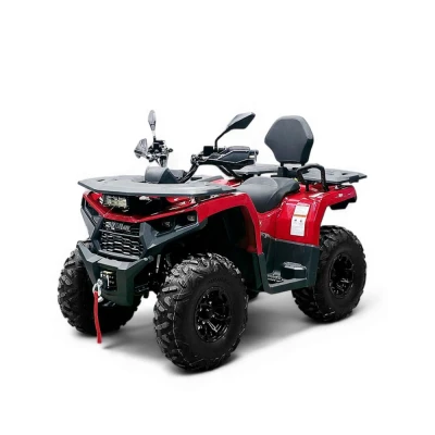 Квадроцикл Bizon YK250 LUX EFI ПТС