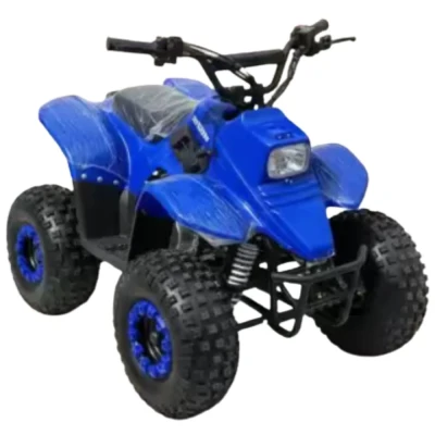 Квадроцикл детский Storm Robo 110 одна передача