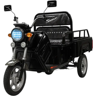 Грузовой электротрицикл BNP Zevs ULTRA MINI