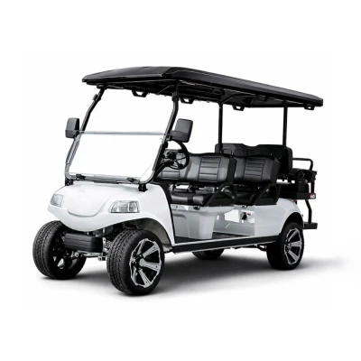 Гольфкар Rutrike Carrier 6