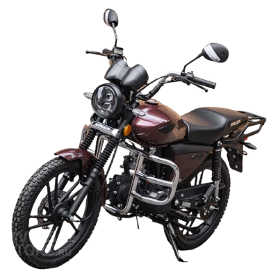 Мопед Racer RC50 Alpha Lux M2 110 (50) БЕЗ ПТС