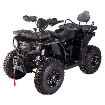 Квадроцикл Progasi RaceJumper 250 Long (мотокомплект)
