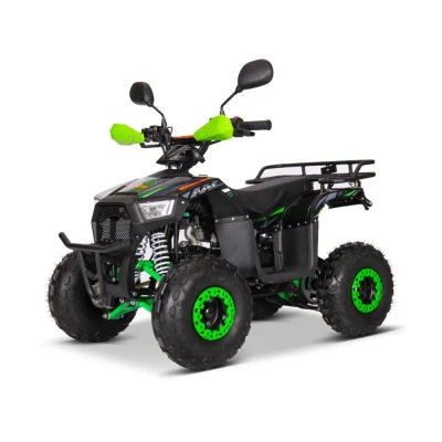 Квадроцикл QMC Orion 125cc R6