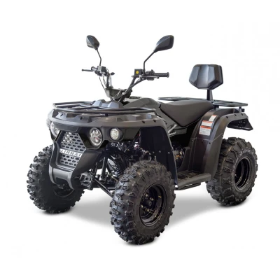 Квадроцикл LINHAI M210 EFi 2x4