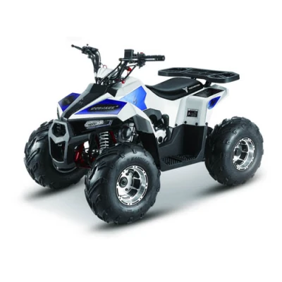Квадроцикл TaoTao ATV MudHawk 110cc  (2022)