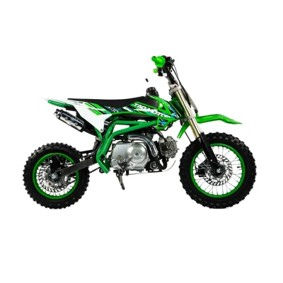 Питбайк TAOTAO DB70 TT 12/10 auto