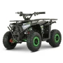 Электроквадроцикл QMC FORTE 48V FFA1000W
