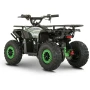 Электроквадроцикл QMC FORTE 48V FFA1000W