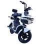 Электроскутер Shtenli Model 21 Performance Pro (аккумулятор 5шт 20Ач12В)