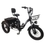 Электровелосипед трехколесный Shtenli Trike xMax 36V10.4A 